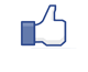 addon_fbooklikebutton.png